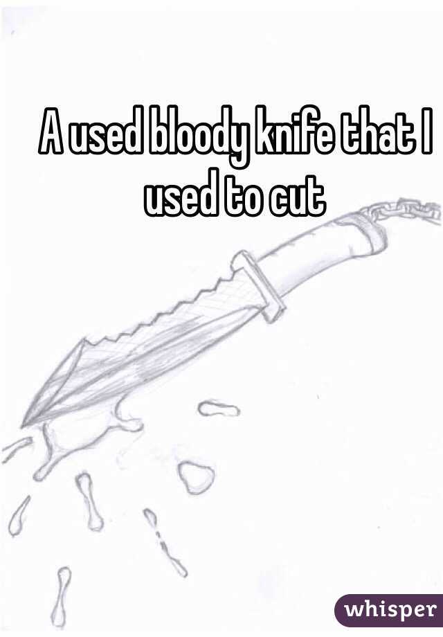 A used bloody knife that I used to cut