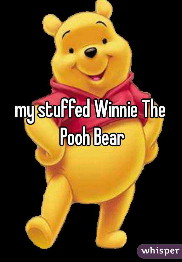 my stuffed Winnie The Pooh Bear