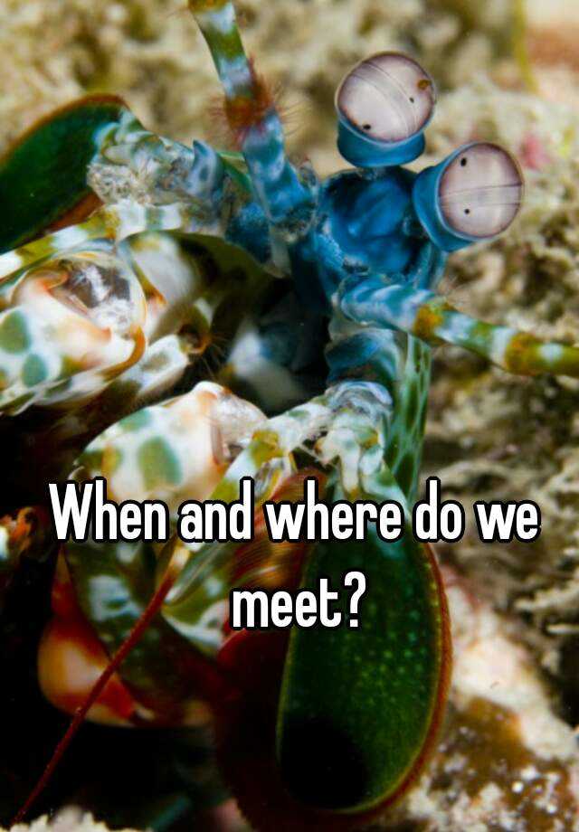 when-and-where-do-we-meet