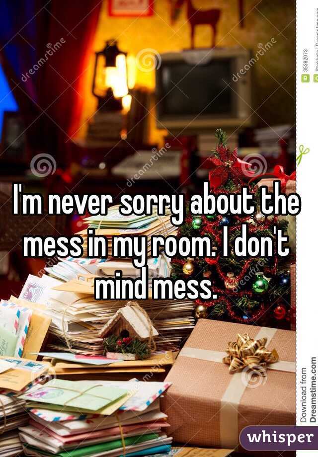I'm never sorry about the mess in my room. I don't mind mess.