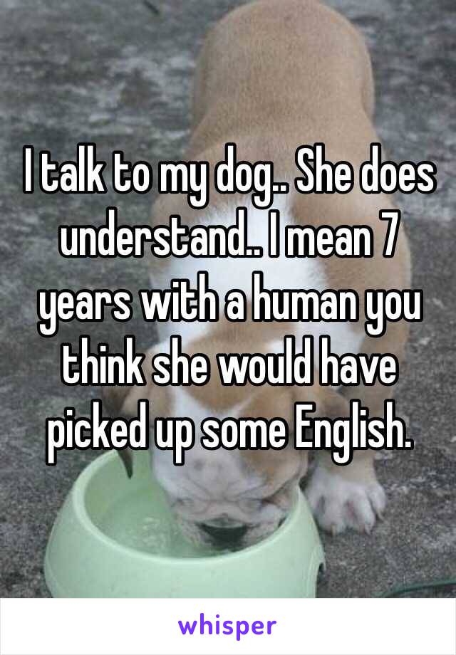 I talk to my dog.. She does understand.. I mean 7 years with a human you think she would have picked up some English.