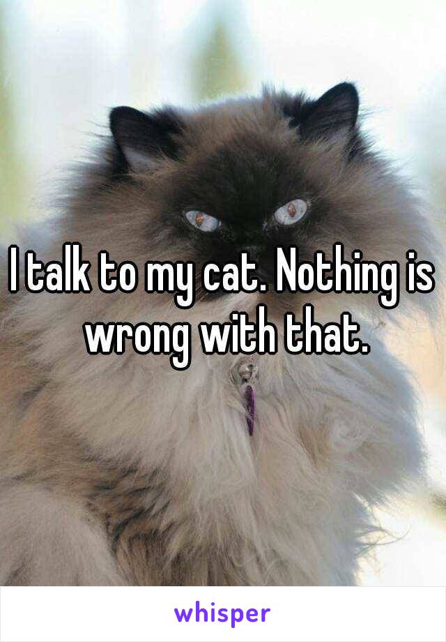 I talk to my cat. Nothing is wrong with that.