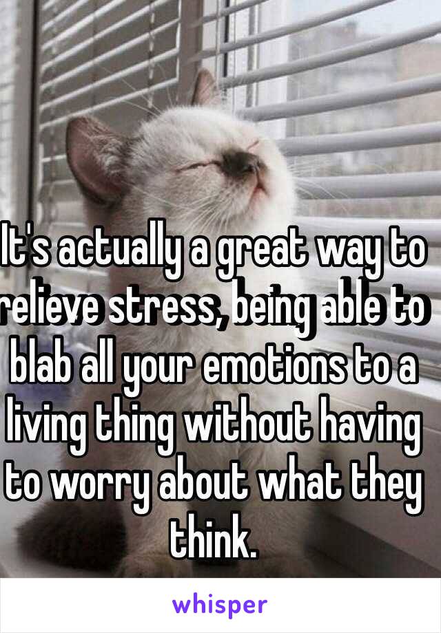 It's actually a great way to relieve stress, being able to blab all your emotions to a living thing without having to worry about what they think.