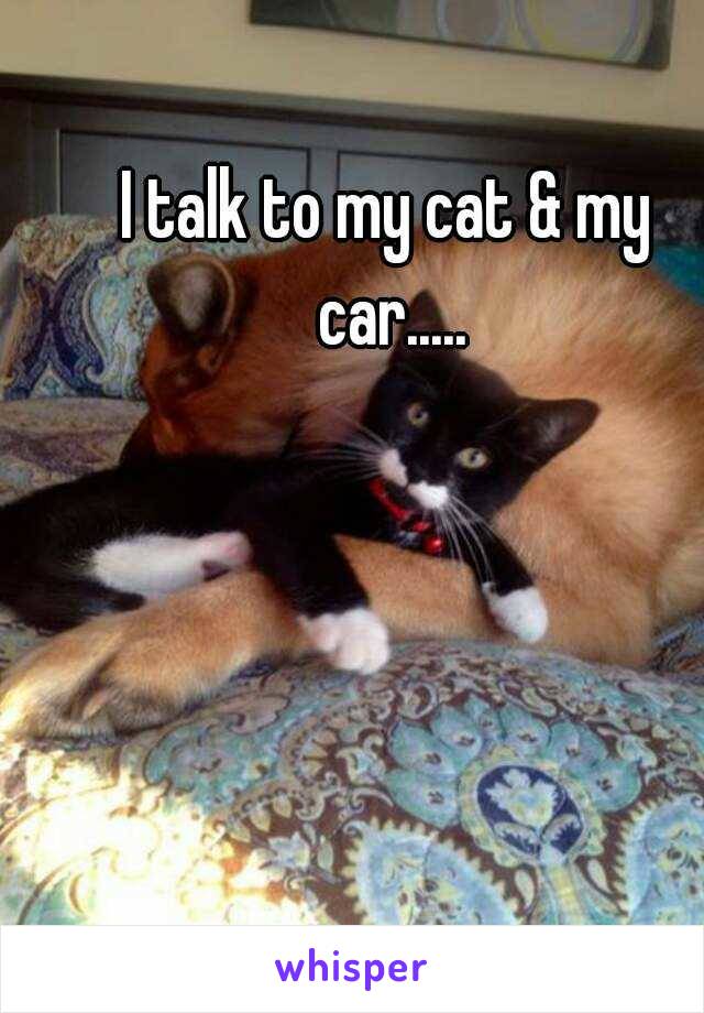 I talk to my cat & my car.....
