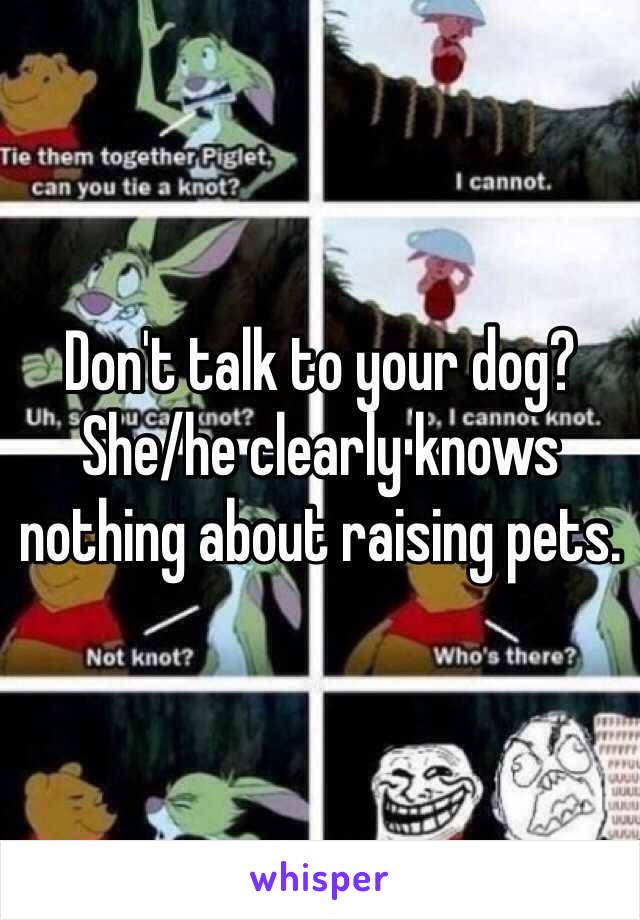Don't talk to your dog? She/he clearly knows nothing about raising pets.