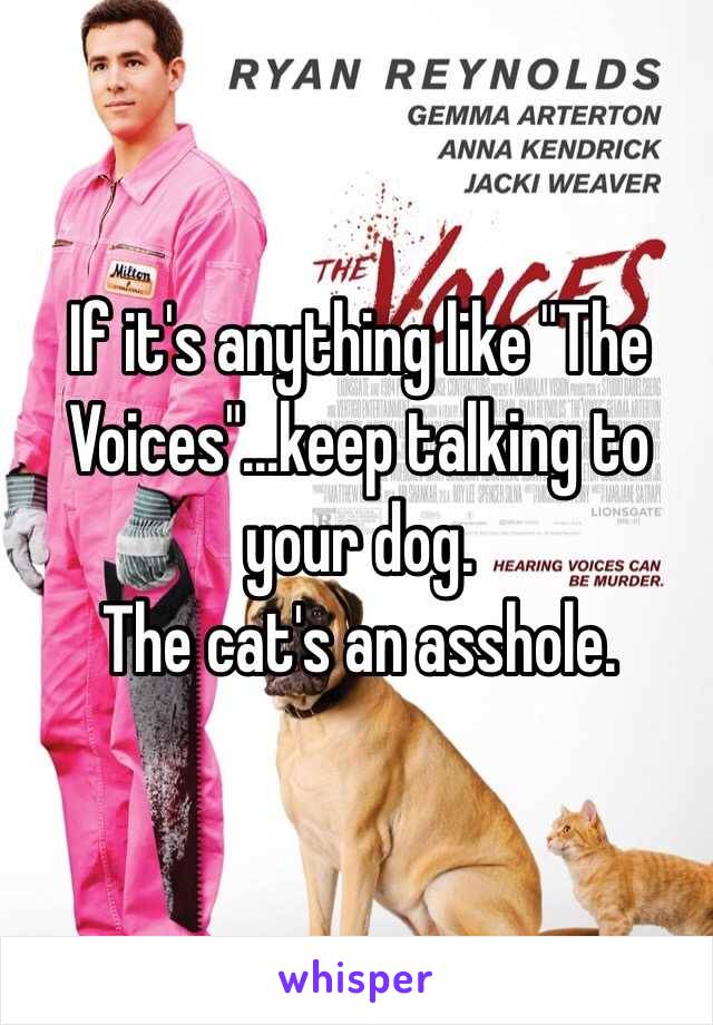 If it's anything like "The Voices"...keep talking to your dog. 
The cat's an asshole.