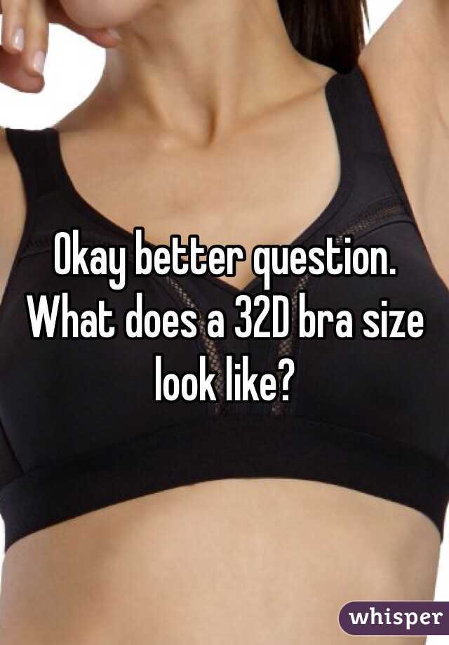 Okay better question. What does a 32D bra size look like?