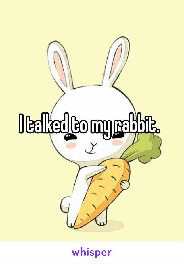 I talked to my rabbit. 