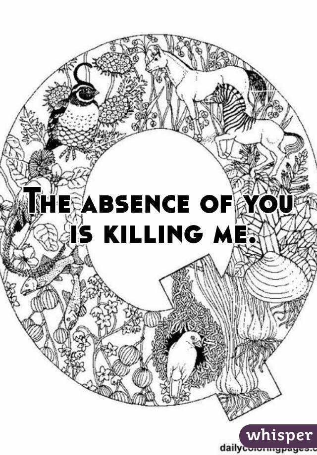 The absence of you is killing me.