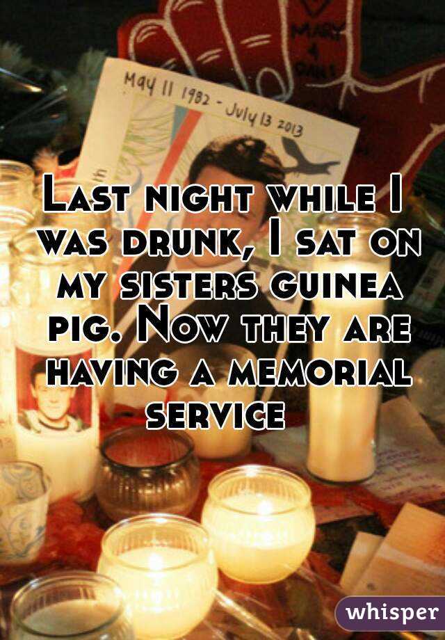 Last night while I was drunk, I sat on my sisters guinea pig. Now they are having a memorial service  