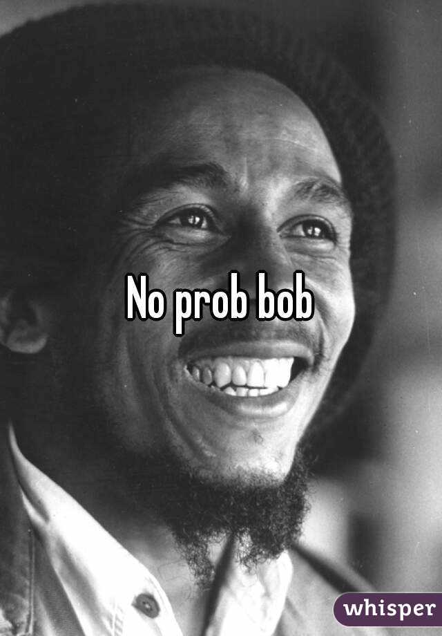 No prob bob
