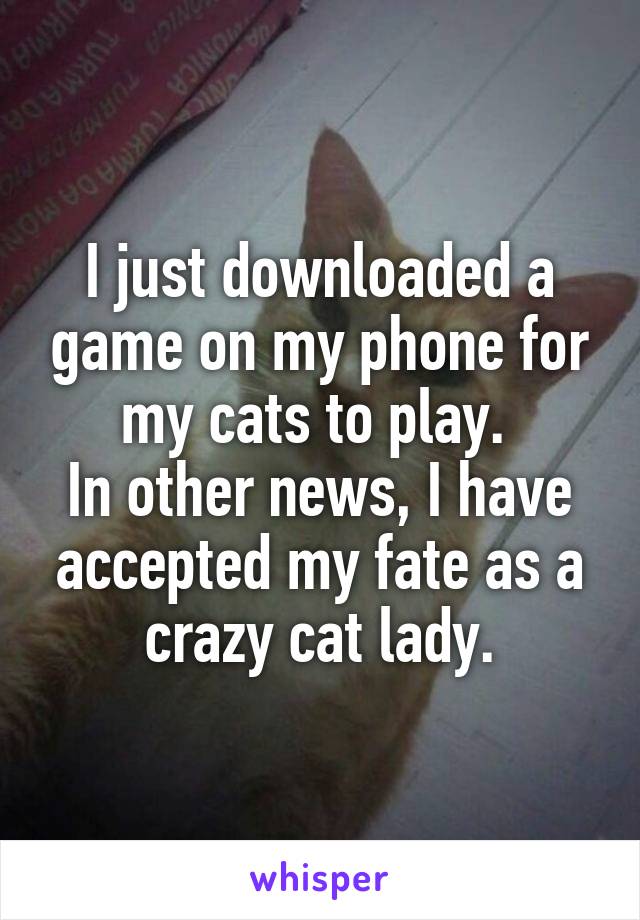 I just downloaded a game on my phone for my cats to play. 
In other news, I have accepted my fate as a crazy cat lady.