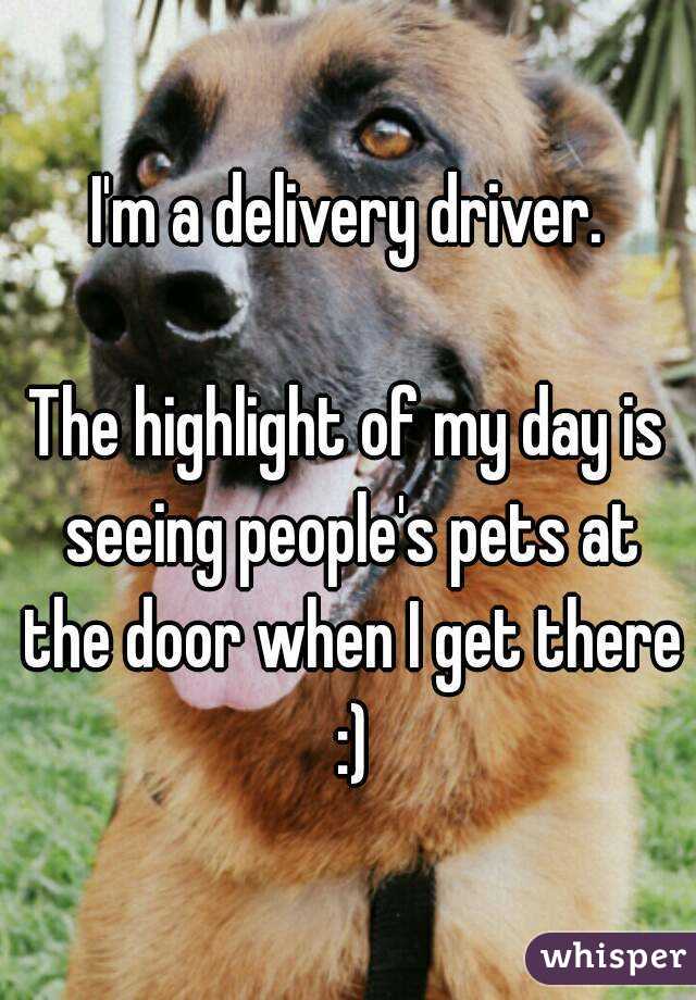 I'm a delivery driver.

The highlight of my day is seeing people's pets at the door when I get there :)