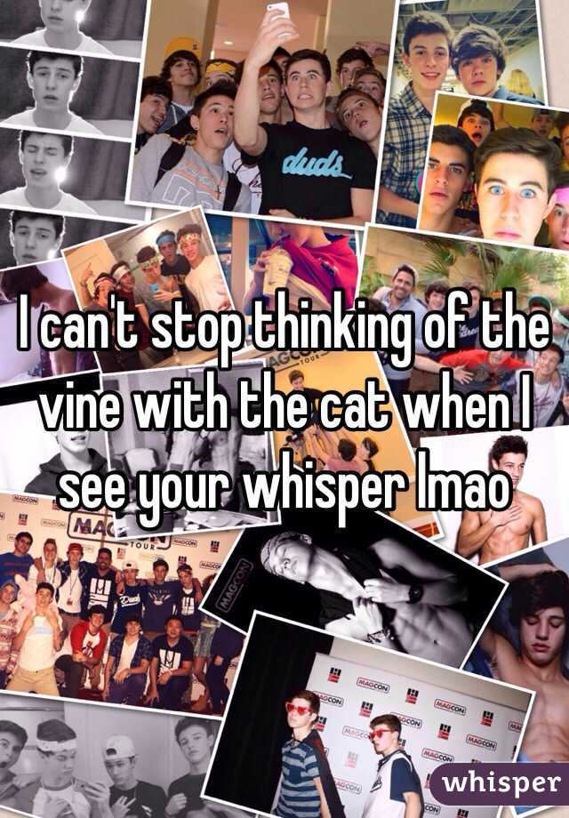 I can't stop thinking of the vine with the cat when I see your whisper lmao