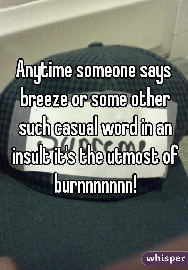 Anytime someone says breeze or some other such casual word in an insult it's the utmost of burnnnnnnn!