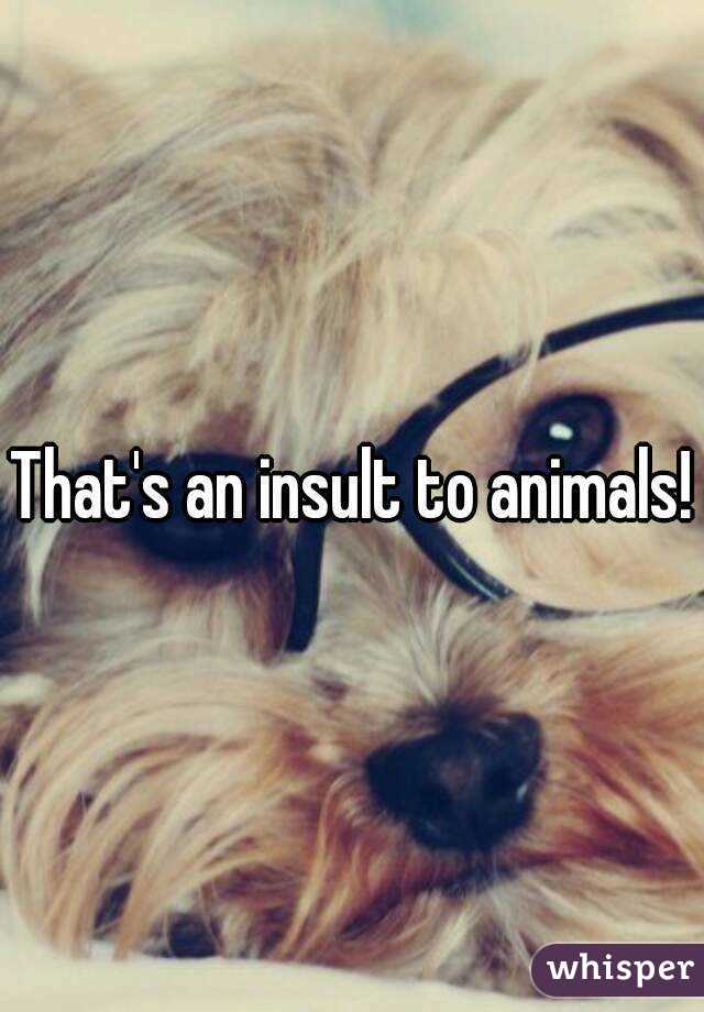 That's an insult to animals!
