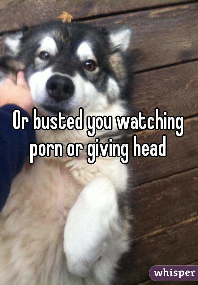 Or busted you watching porn or giving head 