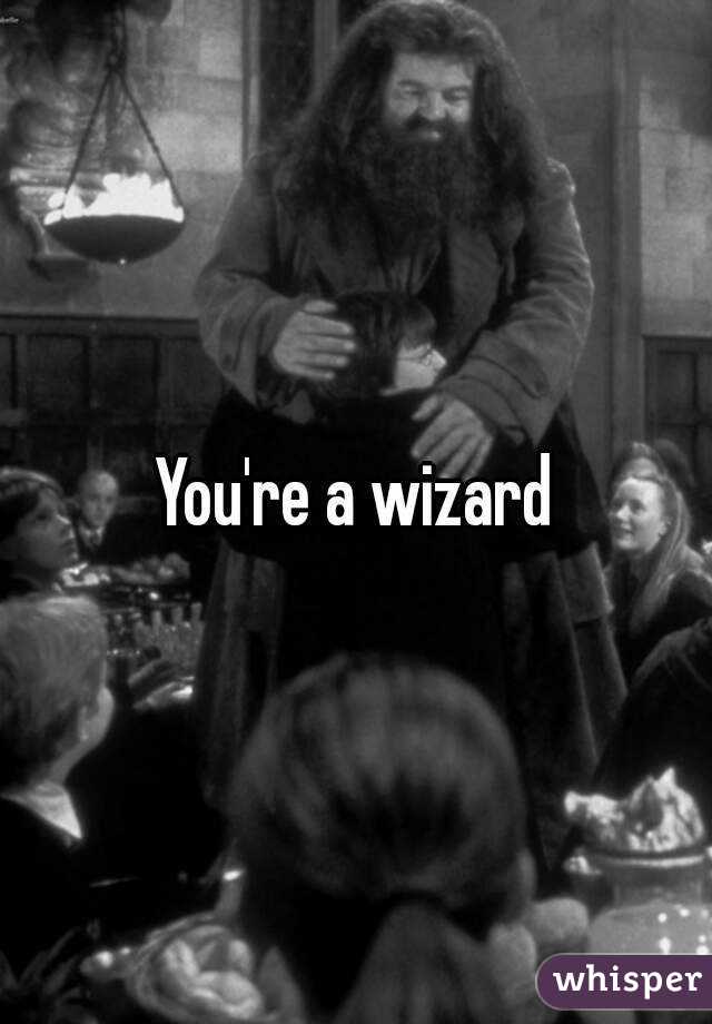 You're a wizard