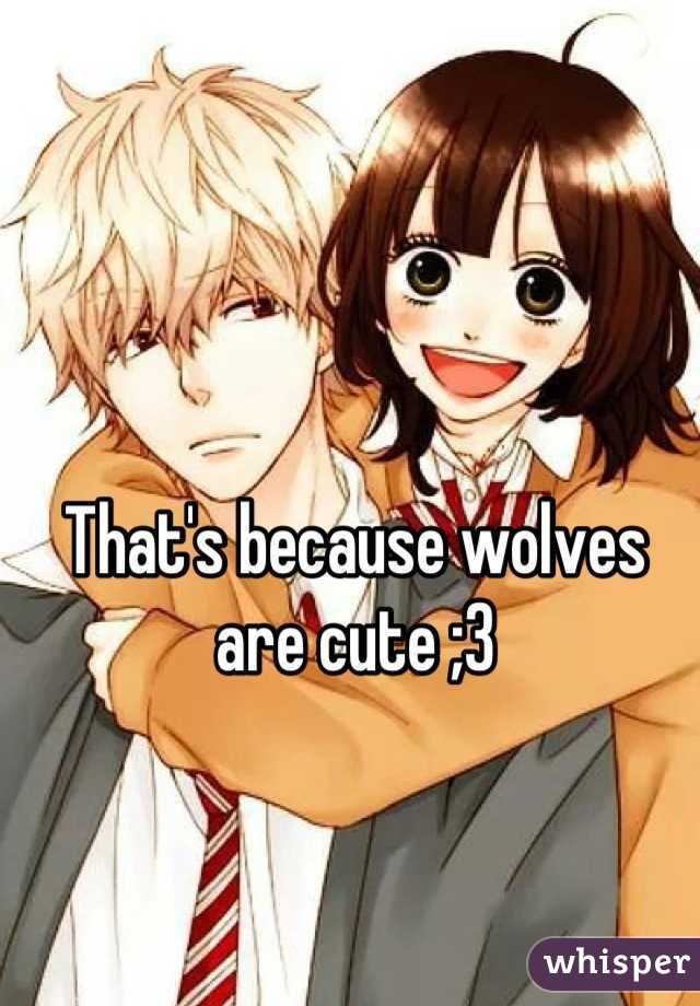 That's because wolves are cute ;3