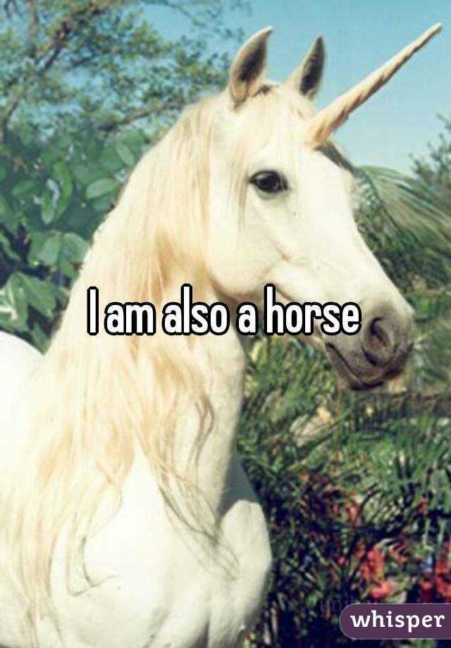 I am also a horse