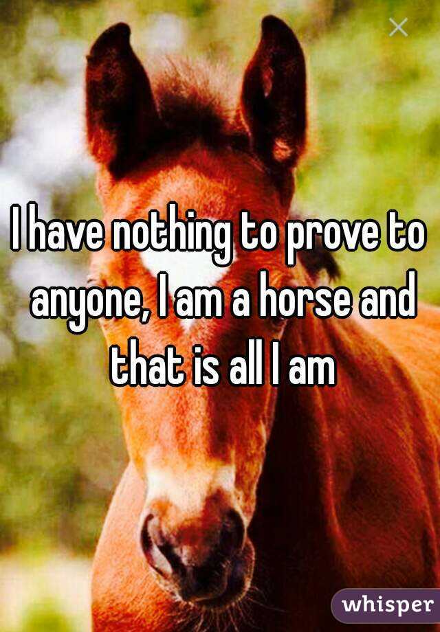 I have nothing to prove to anyone, I am a horse and that is all I am