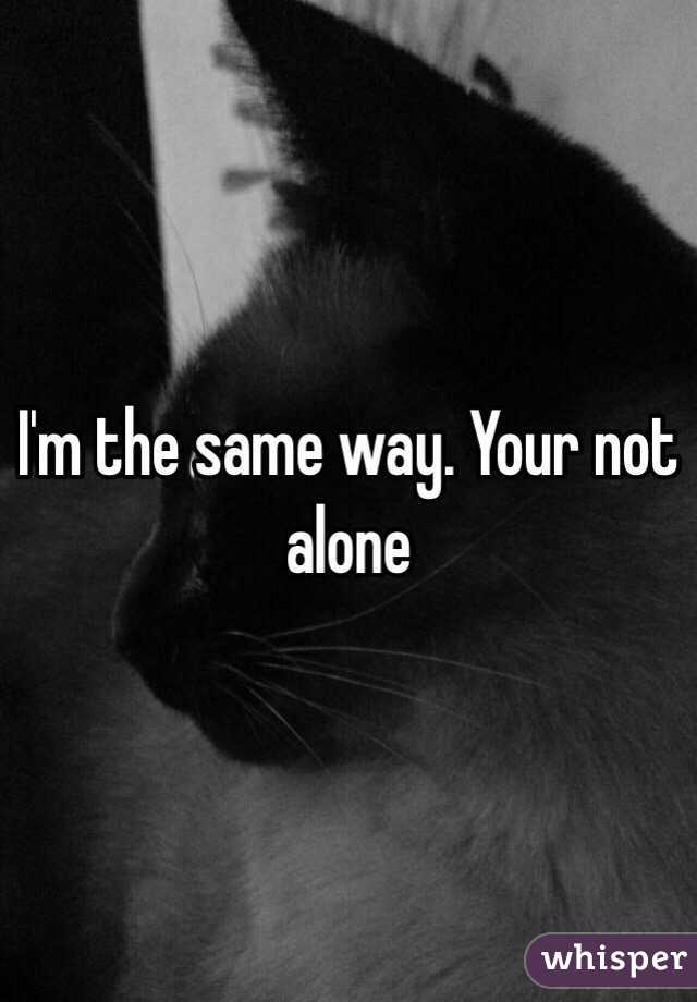 I'm the same way. Your not alone