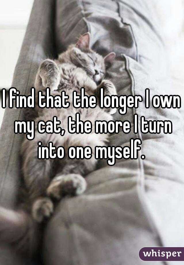I find that the longer I own my cat, the more I turn into one myself. 