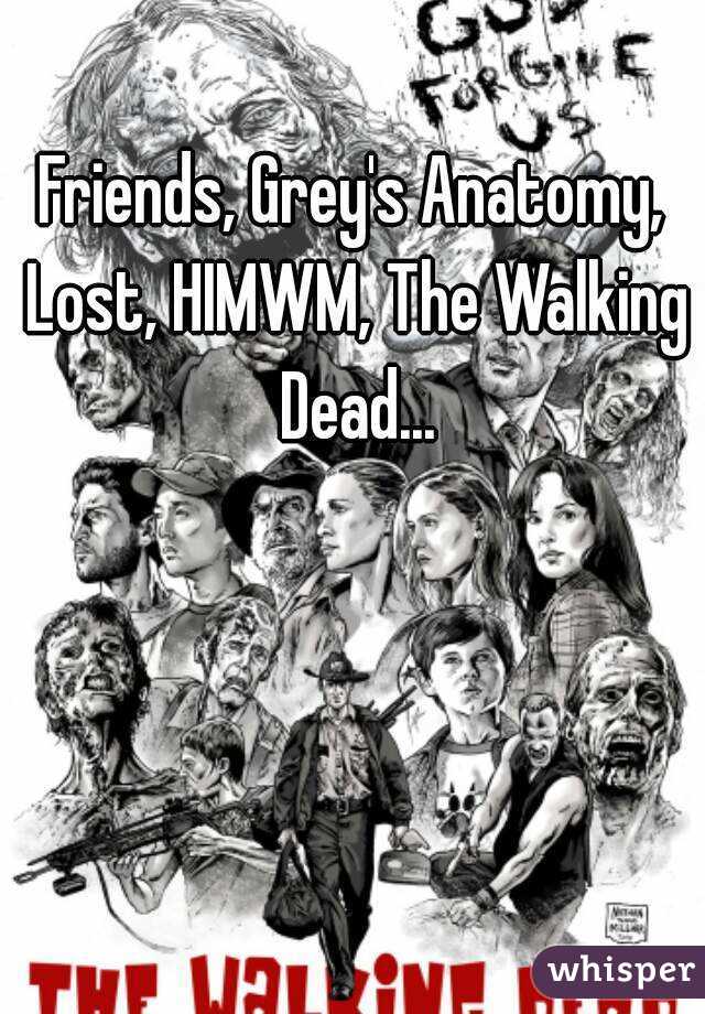 Friends, Grey's Anatomy, Lost, HIMWM, The Walking Dead...