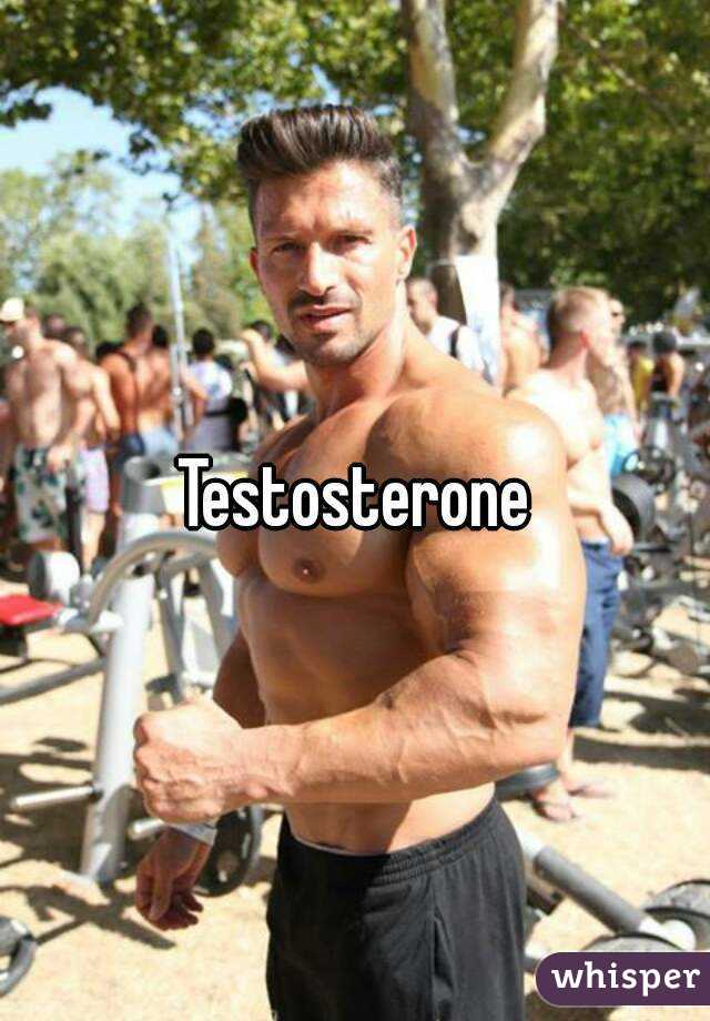 Testosterone