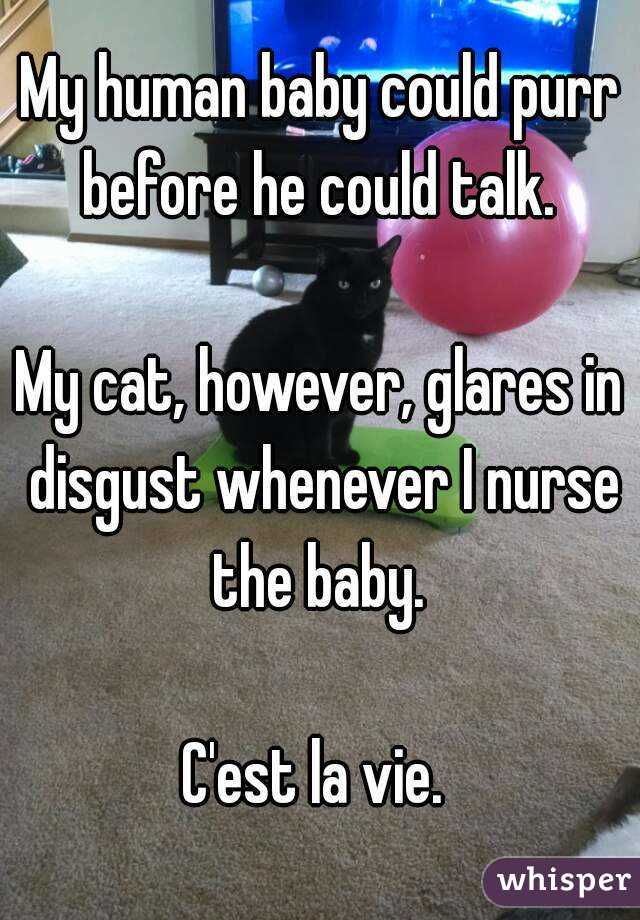 My human baby could purr before he could talk. 

My cat, however, glares in disgust whenever I nurse the baby. 

C'est la vie. 