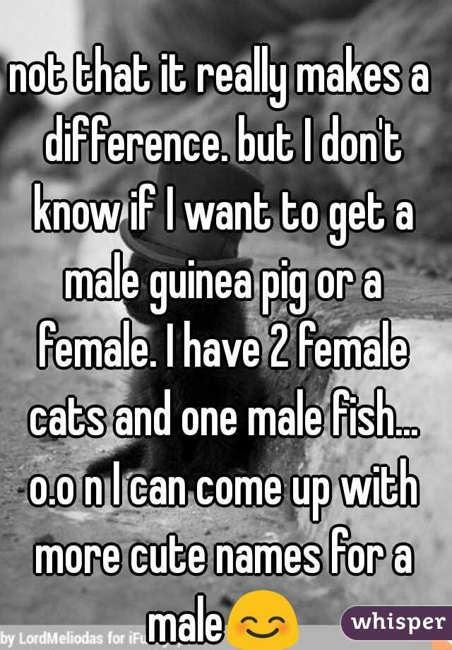 not that it really makes a difference. but I don't know if I want to get a male guinea pig or a female. I have 2 female cats and one male fish... o.o n I can come up with more cute names for a male😊 