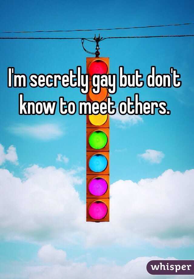 I'm secretly gay but don't know to meet others.