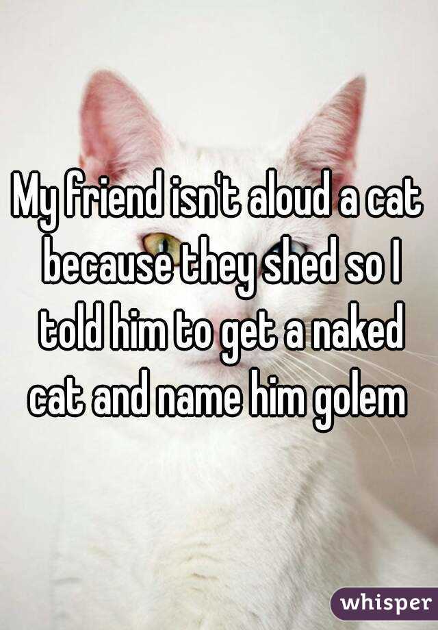 My friend isn't aloud a cat because they shed so I told him to get a naked cat and name him golem 