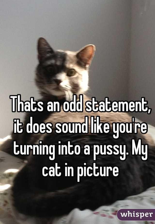 Thats an odd statement, it does sound like you're turning into a pussy. My cat in picture