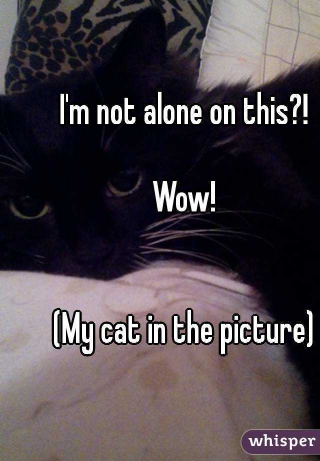 I'm not alone on this?!

Wow!


(My cat in the picture)