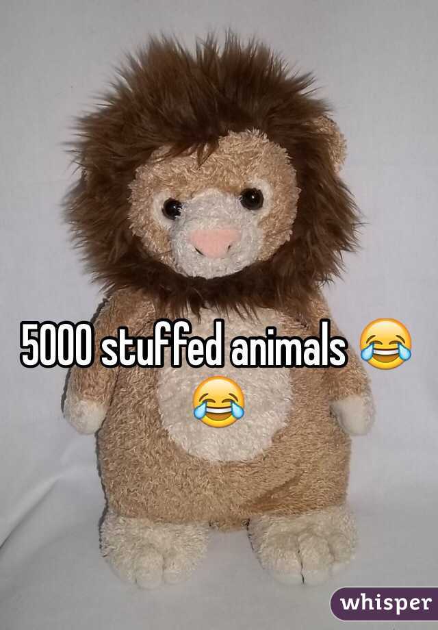 5000 stuffed animals 😂😂