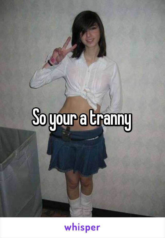 So your a tranny 