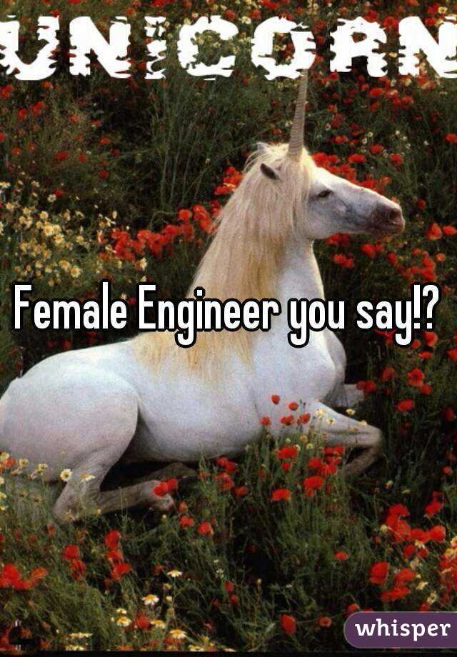 Female Engineer you say!?