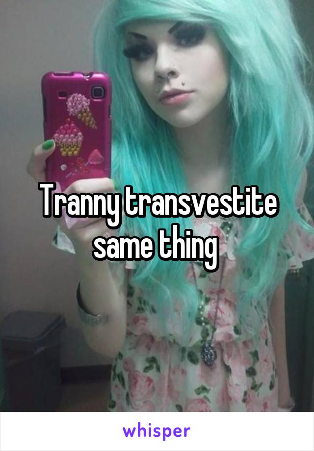 Tranny transvestite same thing 