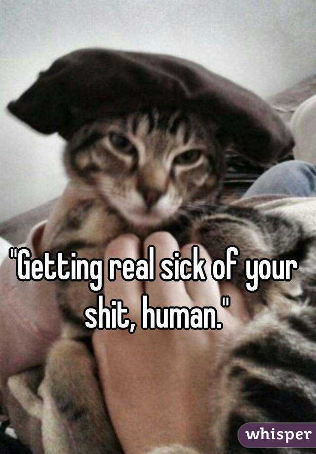 "Getting real sick of your shit, human."