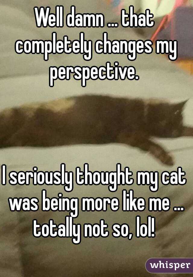 Well damn ... that completely changes my perspective. 



I seriously thought my cat was being more like me ... totally not so, lol! 