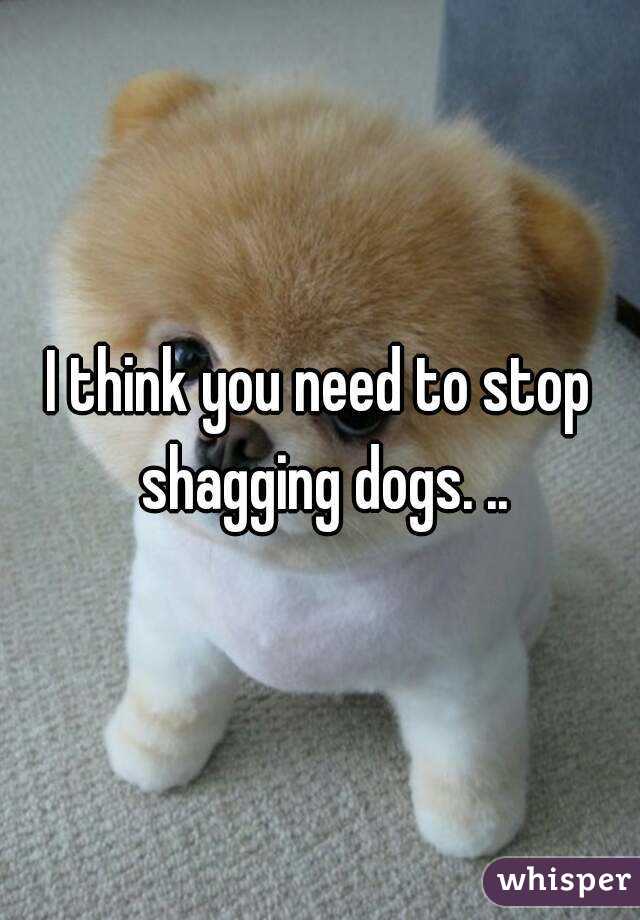 I think you need to stop shagging dogs. ..