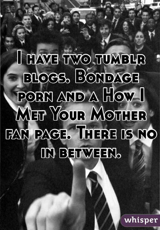 I have two tumblr blogs. Bondage porn and a How I Met Your Mother fan page. There is no in between.