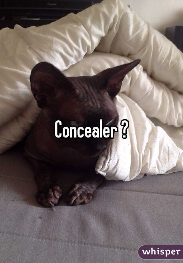 Concealer ? 