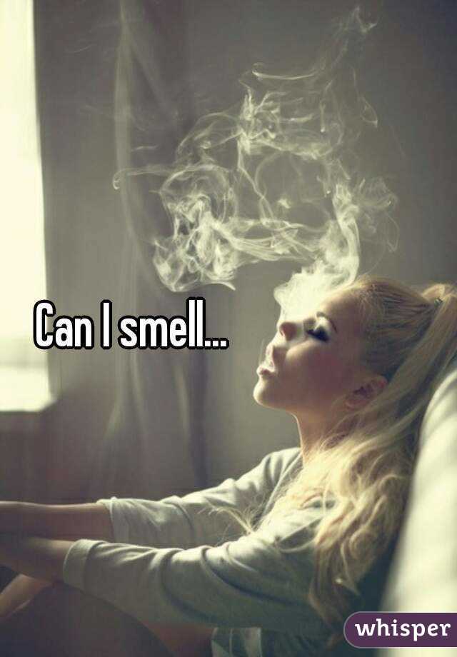 Can I smell... 