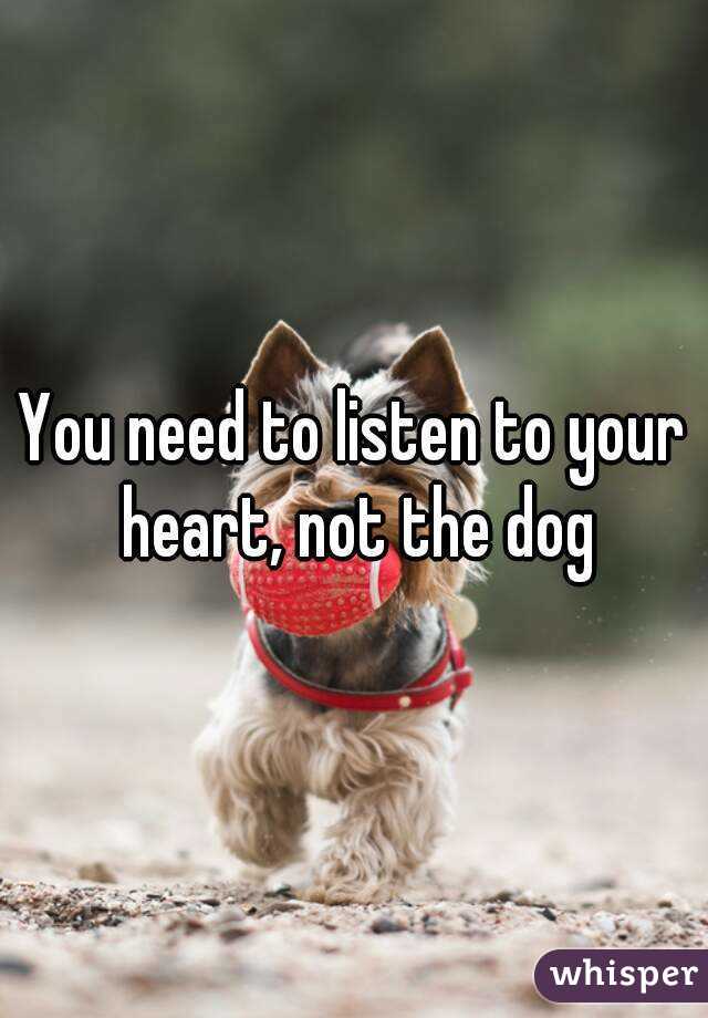 You need to listen to your heart, not the dog