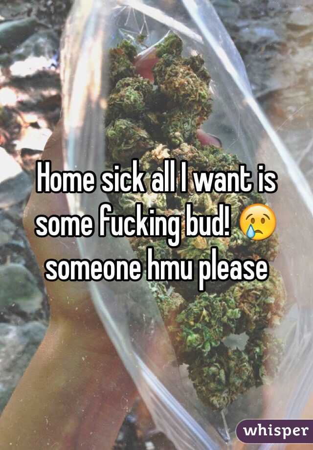 Home sick all I want is some fucking bud! 😢 someone hmu please