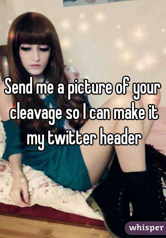 Send me a picture of your cleavage so I can make it my twitter header