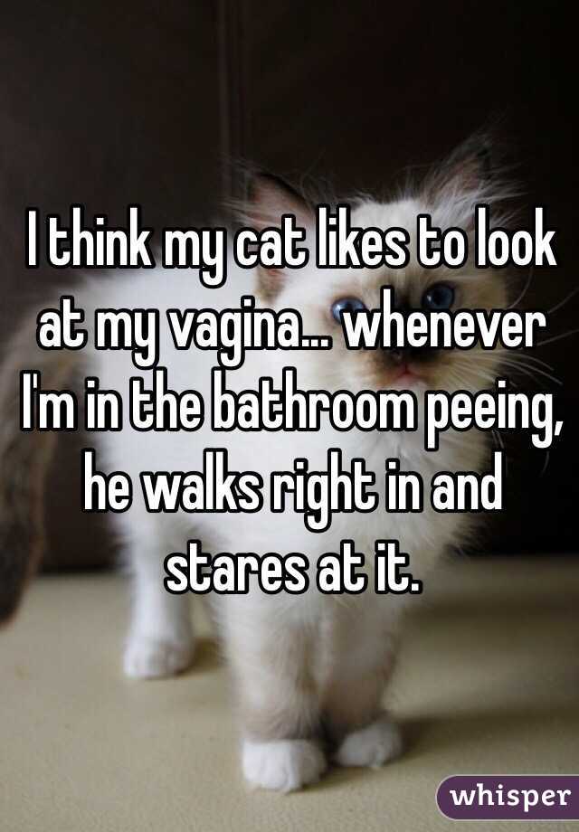 I think my cat likes to look at my vagina... whenever I'm in the bathroom peeing, he walks right in and stares at it.