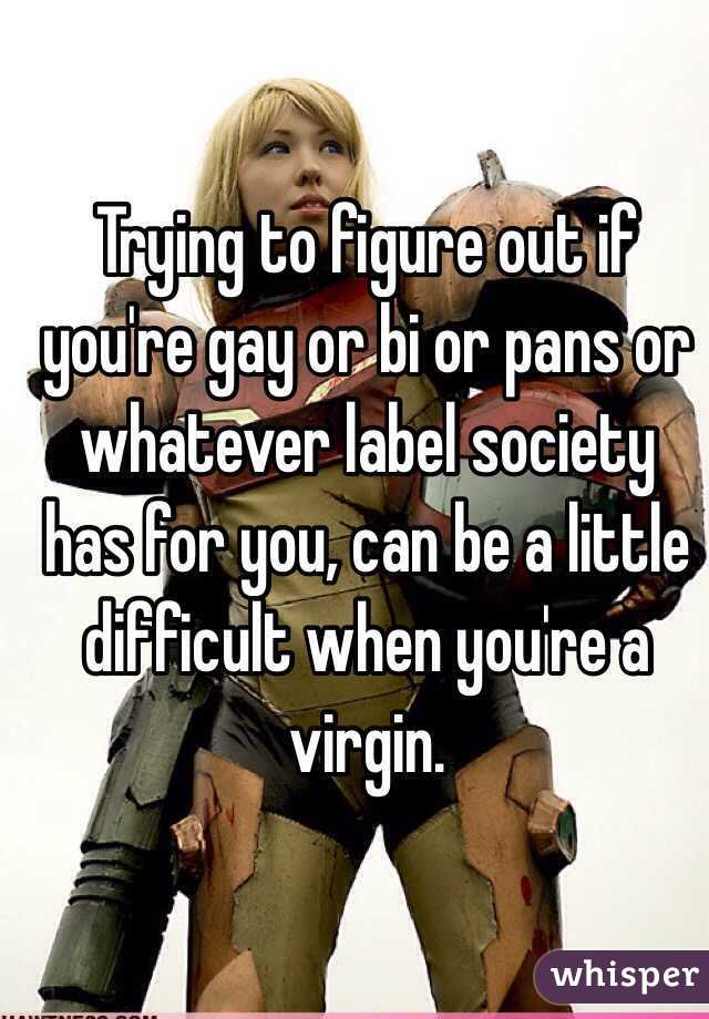 Trying to figure out if you're gay or bi or pans or whatever label society has for you, can be a little difficult when you're a virgin. 